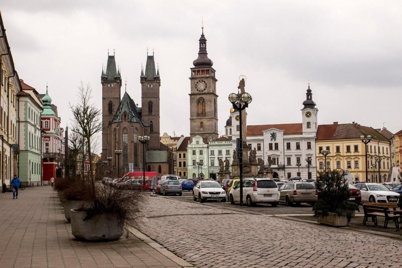 Exkluzivni Apartman V Prizemi V Hradci Kralove Hradec Králové Eksteriør billede