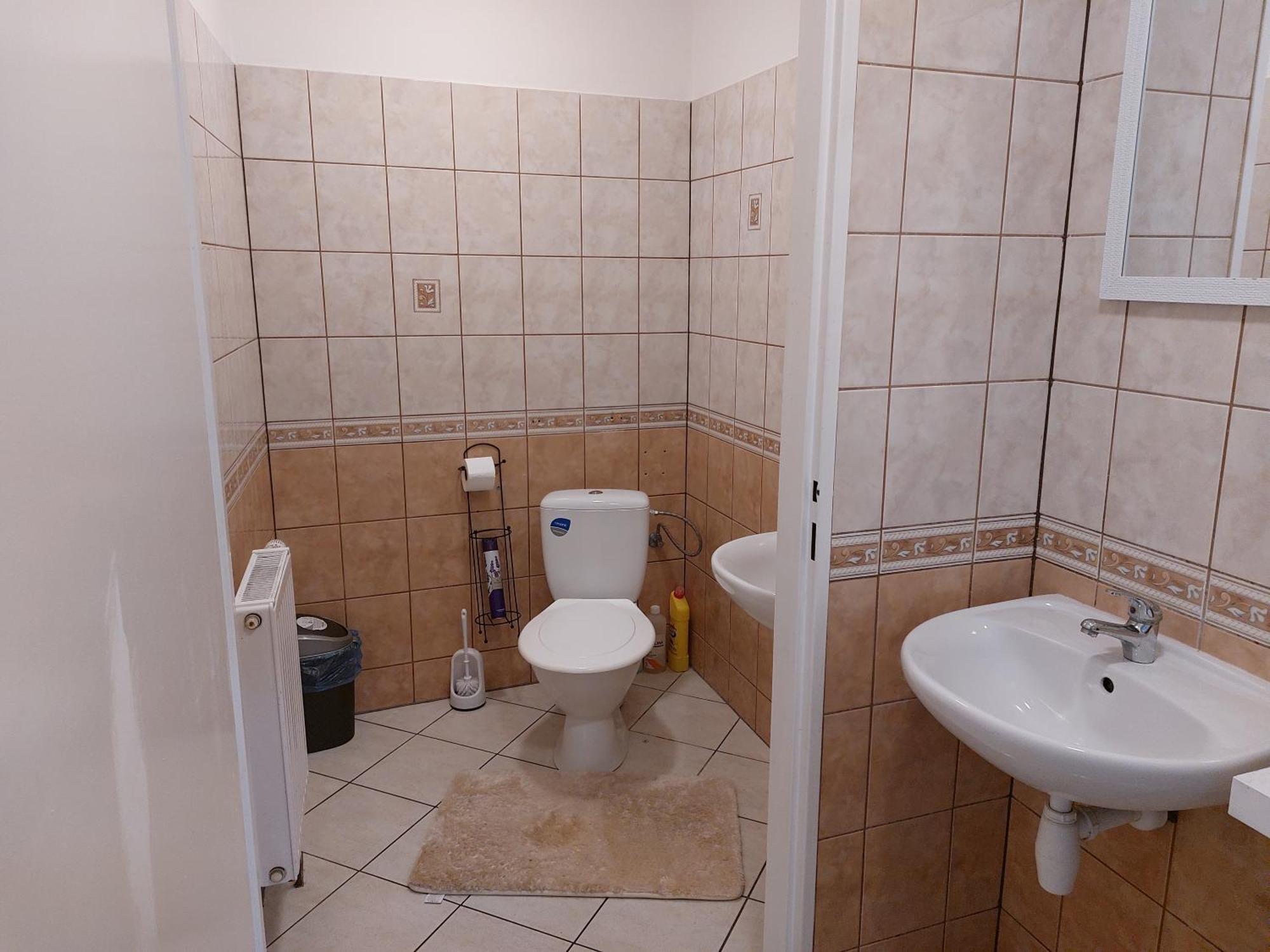 Exkluzivni Apartman V Prizemi V Hradci Kralove Hradec Králové Eksteriør billede